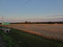 Ohlédnutí se přes večerní dozrávající pšenici za městem Brzeg Dolny mezi obcemi Pogalewo Małe a Pogalewo Wielkie.