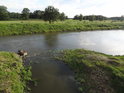 Řeka Odra ve městě Brzeg Dolny