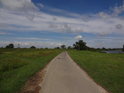 Asfaltová cesta podél Odry u obce Lipki.