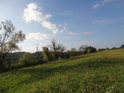 Levý břeh Odry mezi obcemi Gatow a Friedrichsthal.