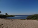 Kachny na pláži u zálivu v jezeře Dąbie v obci Czarna Łaka.