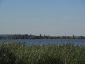 Jezero Dąbie ve své severní části za rákosím nedaleko obce Borzysławiec.