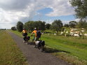 Cykloturisté jedou kolem pasoucího se stáda krav po levobřežní hrázi Odry u obce Neubleven.