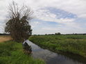 Łomianka je takový lužní potok, na vodu bohatý není, ale teče tu pomalu a tak zdání klame.