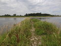 Levobřežní výspa v Odře nad soutokem s řekou Nysa Łużycka nedaleko obce Kosarzyn.