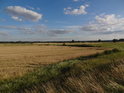 Pšeničný lán v levobřežní nivě Odry nedaleko města Czerwieńsk.