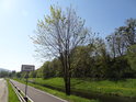 Příjezd do města Odry po silnici II/442, či cyklostezce podél levého břehu Odry.