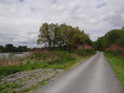 Zpevněná cesta po levém břehu Odry, vlevo písník.