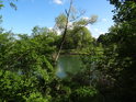 Velké Kališovo jezero, severní část, pohled z chráněného území Hraniční meandry Odry.