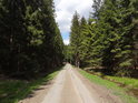 Lesní cesta od Kozlova, za odbočkou k prameni Odry.
