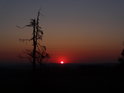 Východ Slunce za ošlehaným modřínem nedaleko Klokočova.