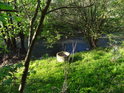 Studna na levém břehu Odry pod chráněným územím Vrásový soubor v Klokočůvku.