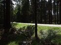 Lesní silnice je první komunikací, kterou Odra pozná.