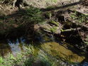 Dno Odry v horním toku je píčité až bahnité.