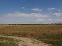 Řepkové pole nad hranou levého břehu Odry mezi obcemi Przychowa a Buszkowice.