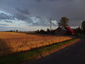 Obilné pole osvětlené nízkým Sluncem přes bouřkou, Głobice.