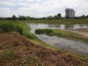 Náplavy oddělené rameno Odry při pravém břehu, nad silničním mostem u města Ścinawa, na levém břehu silo.