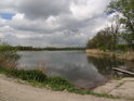 Rybník Velký Budní na levém břehu Odry.