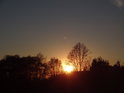 Fantastické večerní Slunce v levobřežní nivě Odry nad Studénkou.