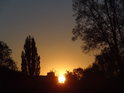 Zapadající Slunce mezi topolem a vrbou v levobřežní nivě Odry nad Studénkou.