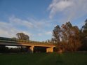 Silniční most přes Odru nad Studénkou.