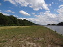 Písečné naplaveniny a pravobřežní luh Odry nedaleko soutoku s potokem Trzyciana.