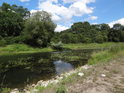 Řeka Widawa nad ústím do Odry.